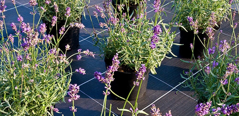 A large roll of woven groundcover