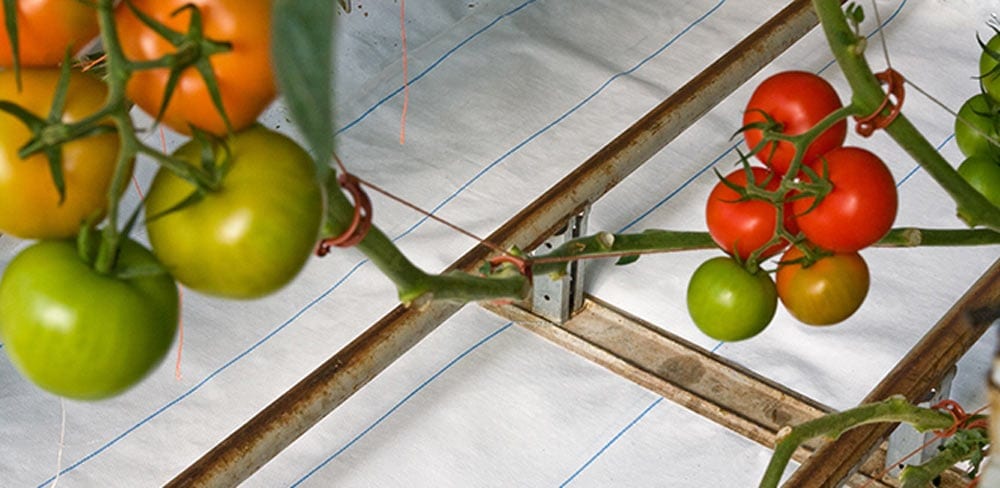 A close up of black woven groundcover